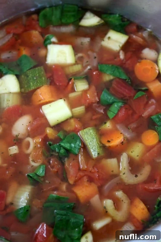 diced vegetables and pasta in a broth 