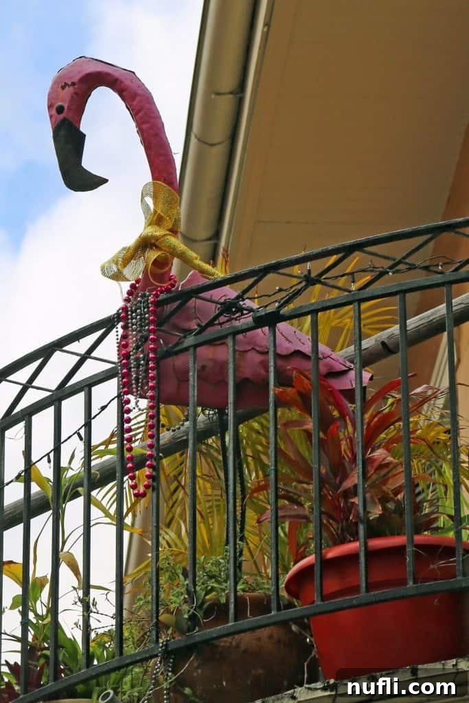 Beautiful balcony decorations and thriving plants adorning a building in the French Quarter New Orleans.