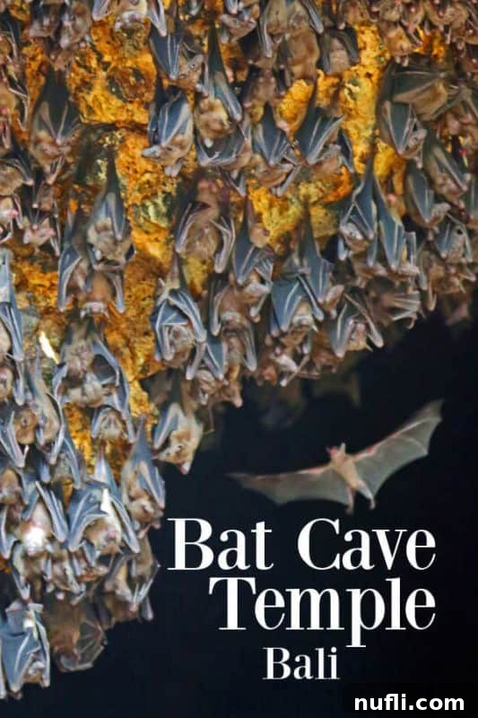 Inside the sacred Bat Cave Temple in Bali, thousands of fruit bats hang from the cave ceiling, framed by ancient stone carvings and the entrance to the temple.