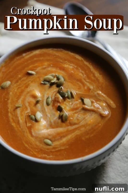 Crockpot Pumpkin Soup over a white bowl with soup and sunflower seeds