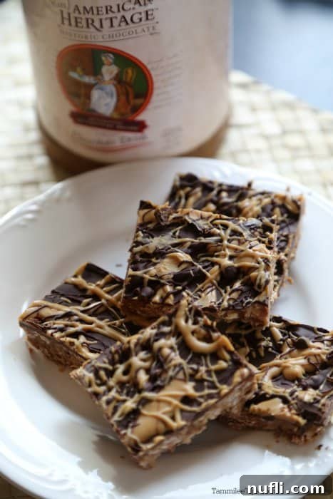 Chocolate oatmeal no bake bars on a white plate, showcasing the rich texture