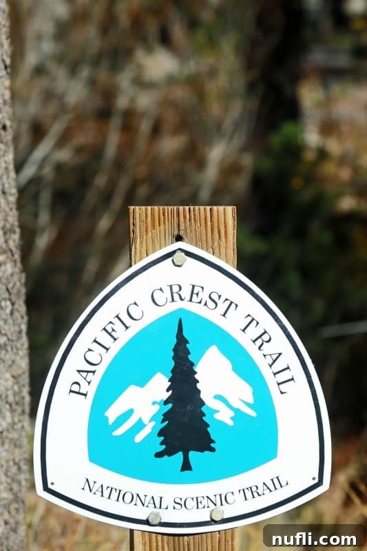 Pacific Crest Trail National Scenic Trail Sign