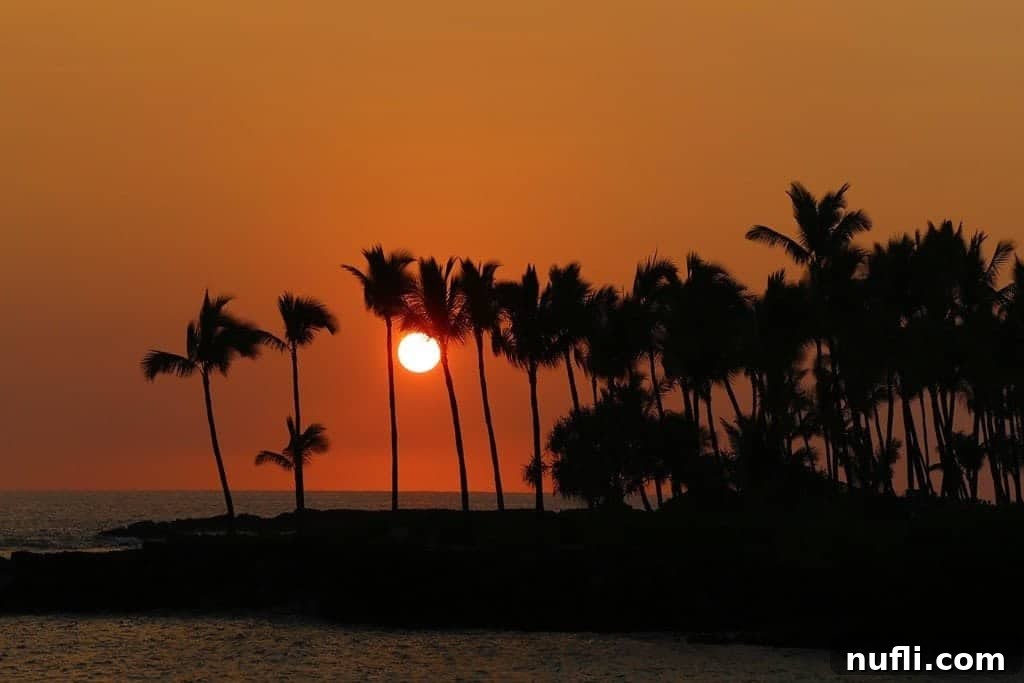 Tropical sunset scene with palm trees silhouetted against a vibrant sky over the ocean in Kona