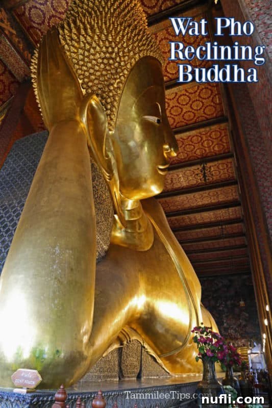 The colossal golden Reclining Buddha statue at Wat Pho, Bangkok, showcasing its immense size and serene beauty within the temple hall.