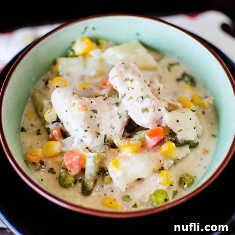 A rich and creamy Crock Pot Chicken Alfredo Stew, inviting you to enjoy its comforting flavors in a deep bowl.