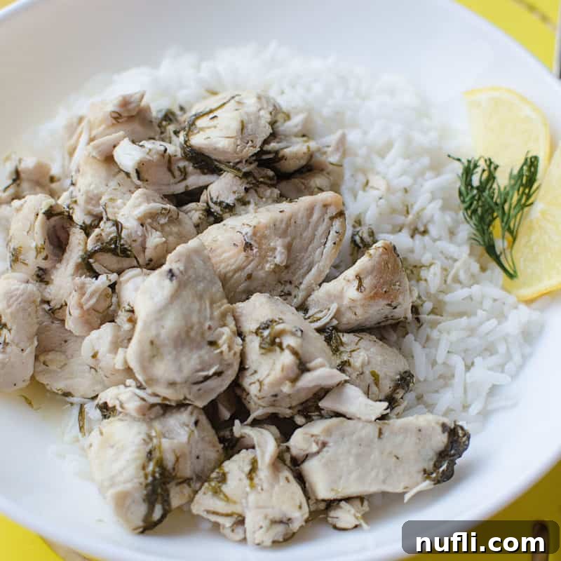 Delicate lemon dill chicken, perfectly cooked, presented next to a mound of fluffy white rice and a fresh lemon slice on a clean white plate.
