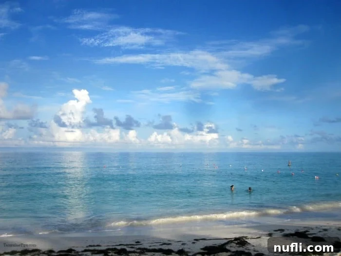 Aruba Cruise Highlights 7 Gorgeous tropical beach with people in the water