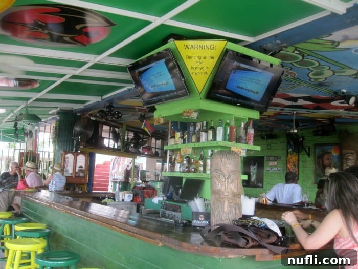 Aruba Cruise Highlights 10 Bar with green ceiling and people sitting around the bar