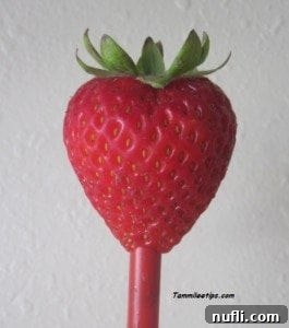 Sweet Strawberry Bruschetta Bites 3 A close-up shot of a straw being inserted into the bottom of a fresh strawberry, illustrating an easy cleaning hack.