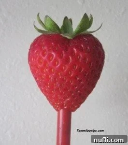 Strawberry Hulling with a Straw A straw being inserted from the bottom of a strawberry, demonstrating the cleaning technique.