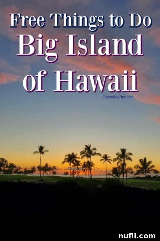 Free things to do on the Big Island of Hawaii with palm trees and a sunset in the background