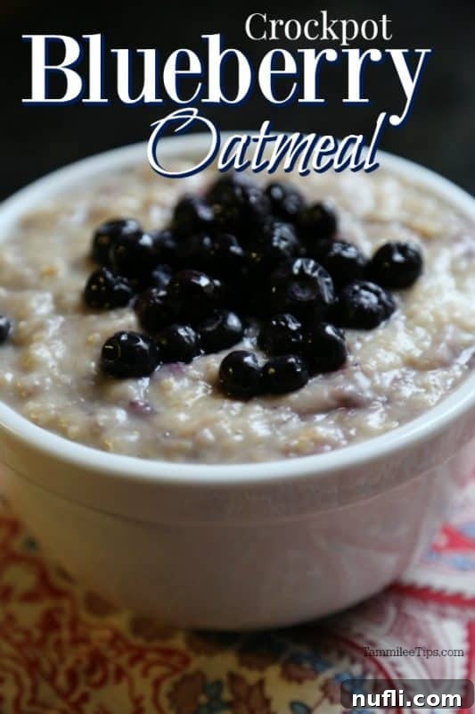 A comforting bowl of Crockpot Blueberry Oatmeal, generously topped with fresh blueberries, resting on a clean white surface. The oatmeal is creamy and inviting.