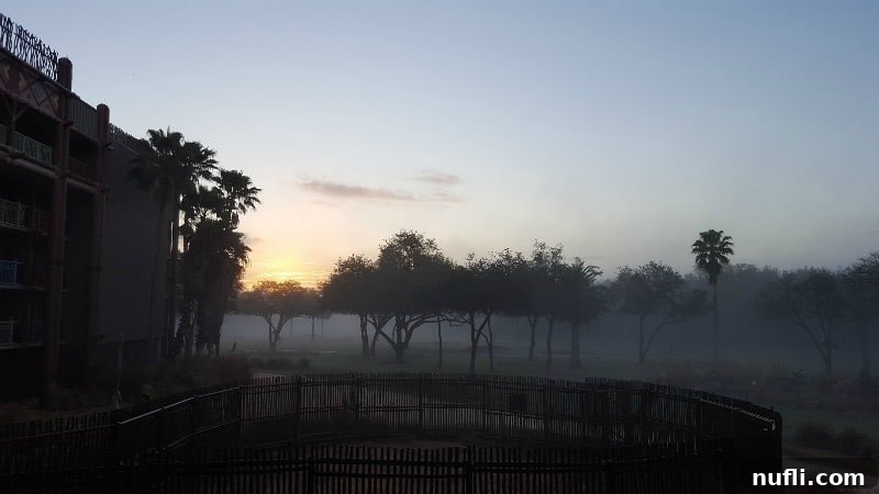 Misty morning view of lush trees and vegetation outside the Animal Kingdom Lodge, suggesting cool and peaceful weather