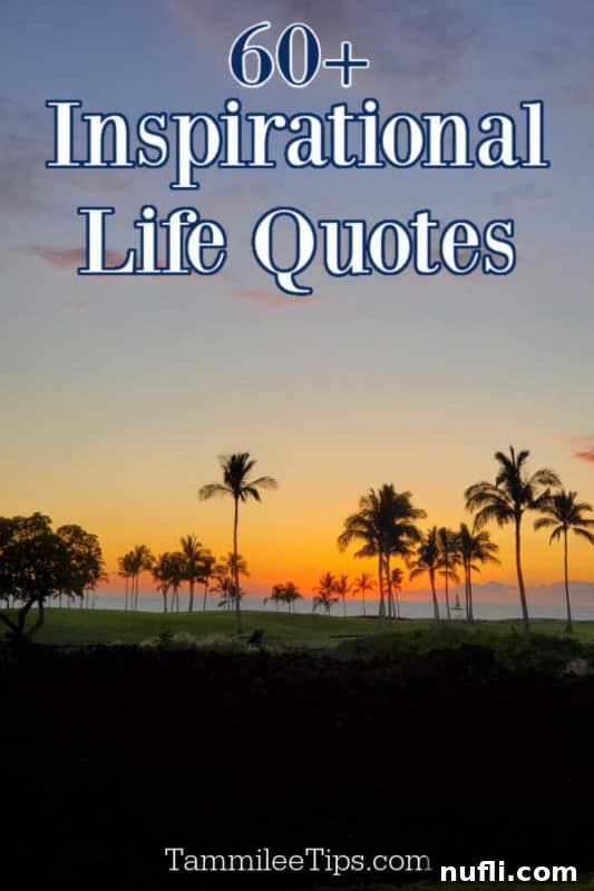 Sunset over palm trees with inspirational life quotes overlay