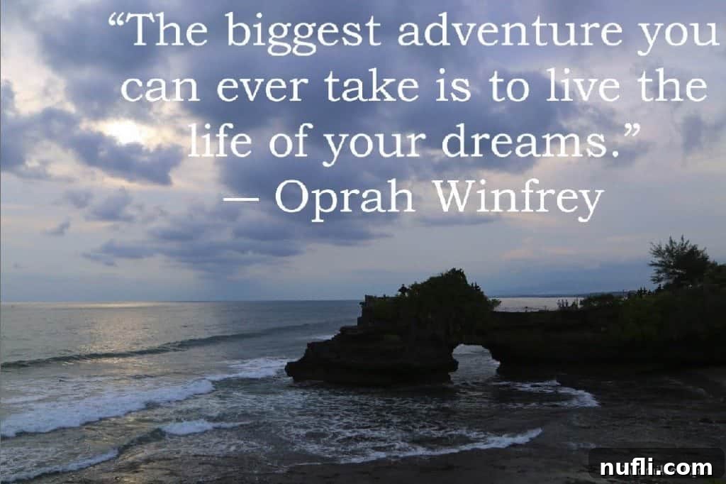 Quote: The biggest adventure you can ever take is to live the life of your dreams.