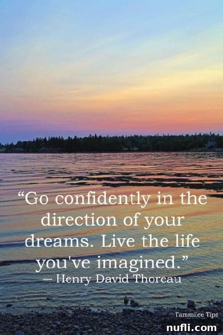 Quote: Go confidently in the direction of your dreams. Live the life you've imagined.