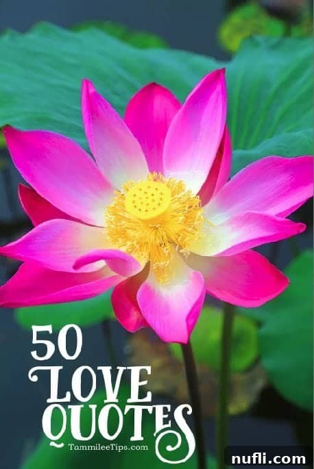 A couple holding hands, symbolizing love and commitment, perfect for Valentine's Day or any romantic occasion.