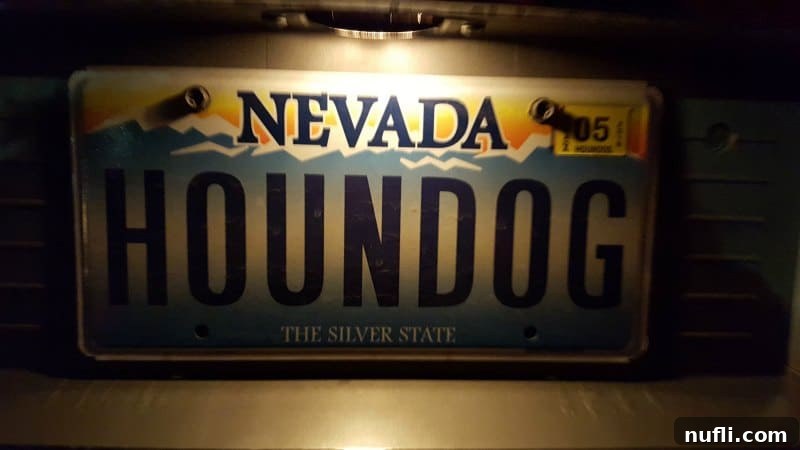 Vegas Vows Renewed Elvis Style 3 Hounddog nevada license plate
