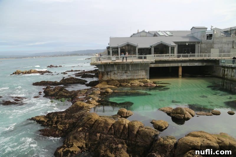 Picturesque view of Monterey Bay Aquarium with a natural tide pool blending into the Pacific Ocean