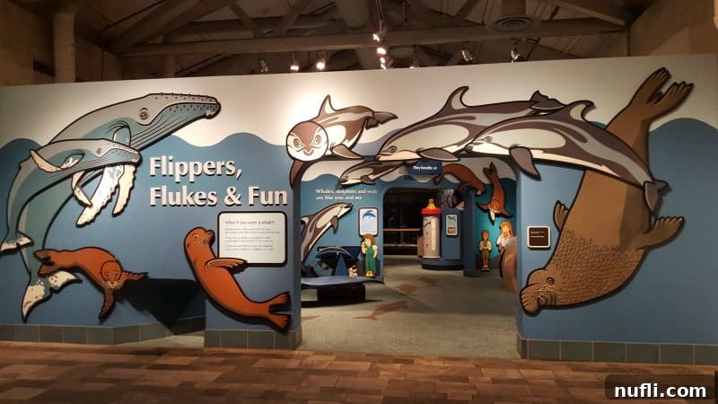 Vibrant 'Flippers Flukes & Fun' play area designed for children to learn about marine mammals
