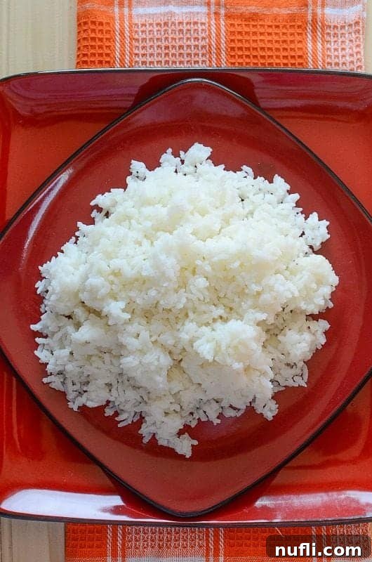 fluffy white rice on a red plate