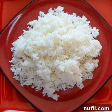 fluffy white rice on a red plate