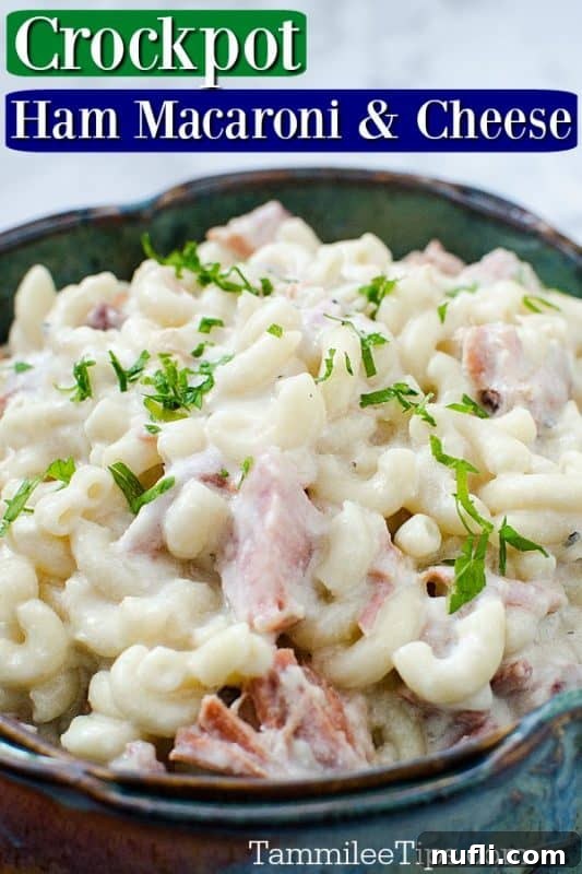Close-up of creamy slow cooker macaroni and cheese with ham in a blue bowl, set against a clean white background.