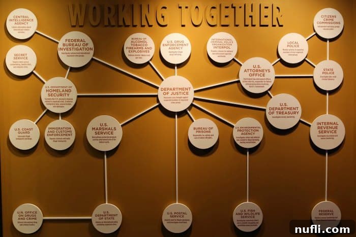 A display highlighting cooperation between various law enforcement agencies in combating organized crime, emphasizing the dual perspective