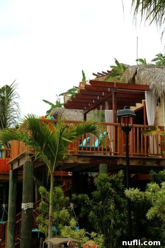 Thatch-covered roof with lounge chairs and palm trees at Amber Cove
