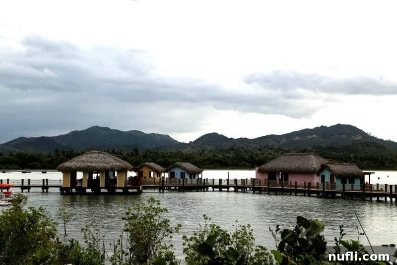 Thatch-covered bungalows on a dock at Amber Cove