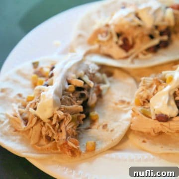 pineapple salsa chicken on a soft taco, garnished with fresh cilantro