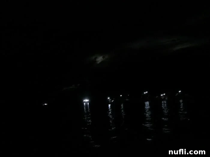 Belize's Epic Cave Tubing Adventure 13 flashlights on in a cave