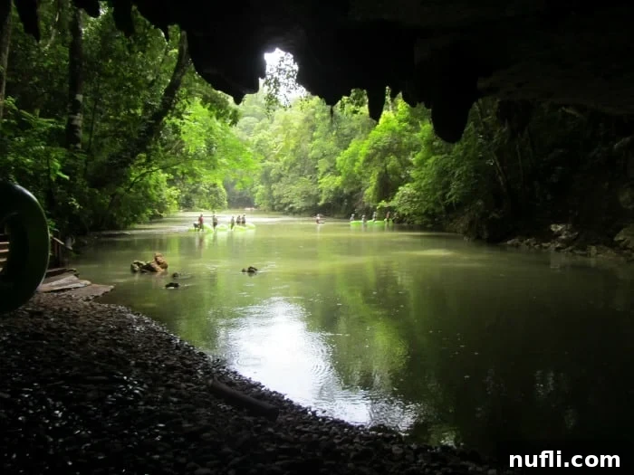 Belize's Epic Cave Tubing Adventure 15 people in the water near the mouth of a cave and jungle in the background of Belize