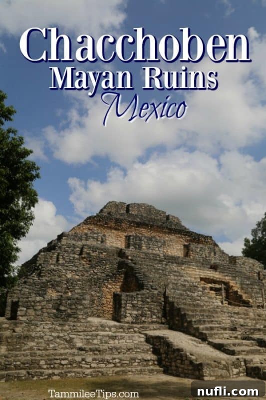 Unearthing Chacchoben Mayan Legacy Costa Maya 2 Majestic Chacchoben Mayan pyramid rising above lush jungle foliage in Mexico