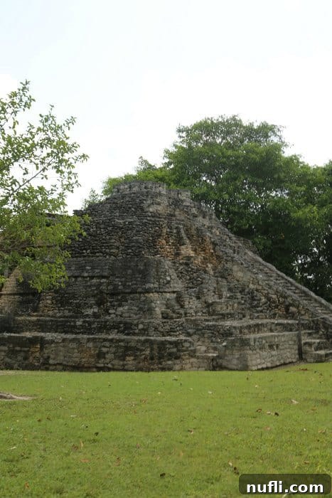 Unearthing Chacchoben Mayan Legacy Costa Maya 7 Partial view of Chacchoben Mayan Ruins emerging from surrounding jungle