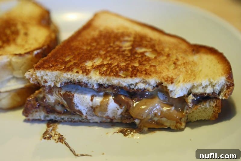 nutela sandwich on a white plate