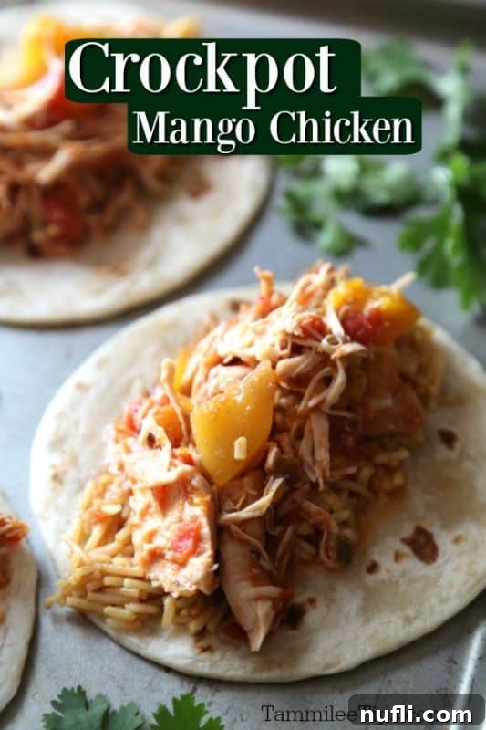 Crockpot mango chicken over a tortilla loaded with mango chicken, mangos, and rice