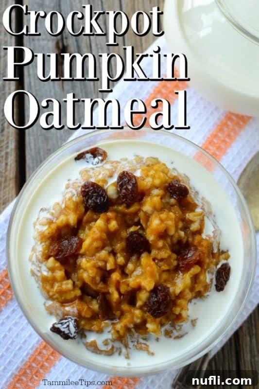 Overnight Crock Pot Pumpkin Oatmeal 2 Crockpot pumpkin oatmeal served in a bowl with a splash of milk and raisins, ready for a cozy breakfast.