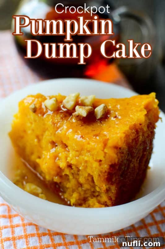 Crockpot Pumpkin Dump Cake over Pumpkin dump cake in a white bowl sitting on an orange and white towel next to a spoon 