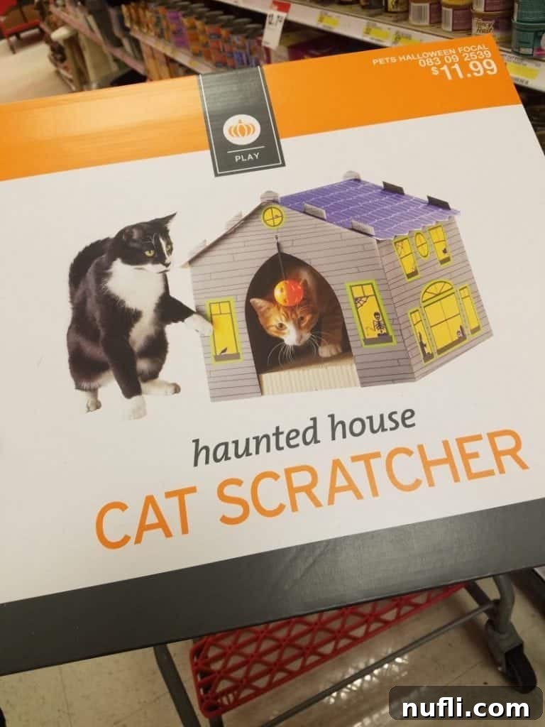 Haunted House Cat Scratcher displayed at Target, a fun item to buy with a gift card.
