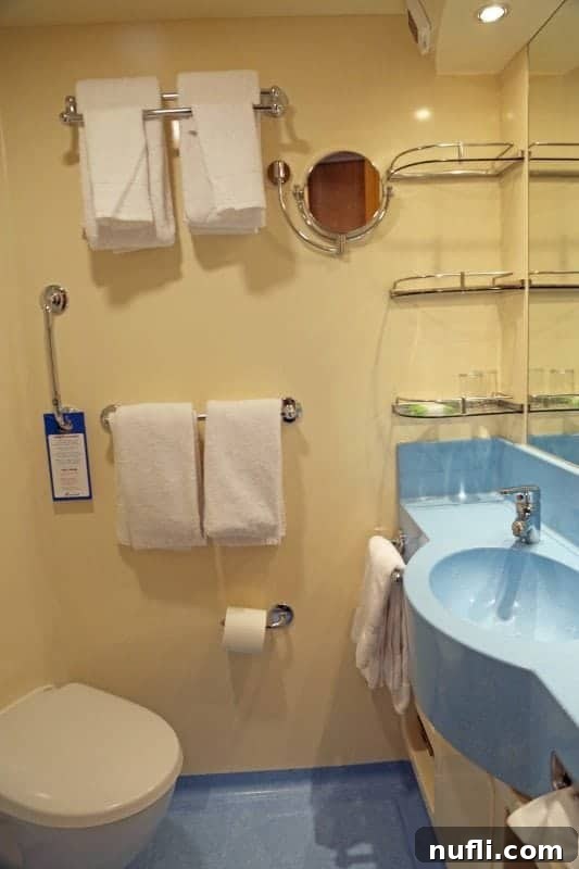 The immaculate and well-appointed bathroom of a Carnival Vista stateroom, designed for comfort and convenience.