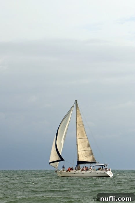 Sailboat on the water