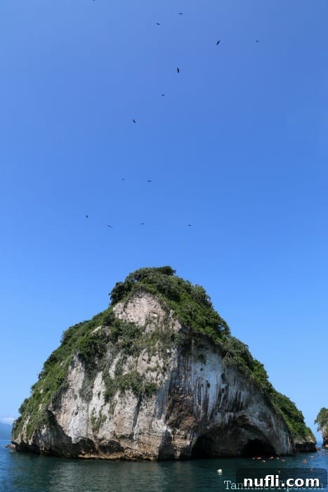 island with trees and birds flying around