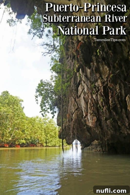 Puerto-Princesa Subterranean River National Park over the entrance to the cave