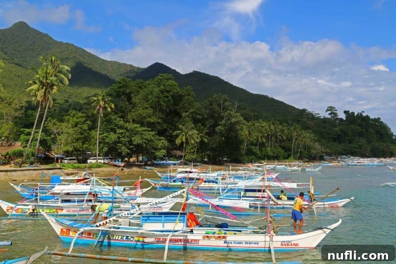 Colorful boats lined up along the beach with palm trees in the background