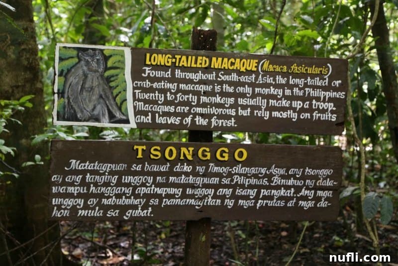 Long tailed macaque sign with monkey on it 