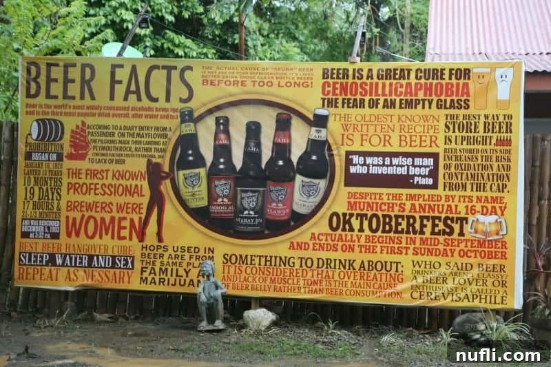 Unforgettable Experiences in Puerto Princesa Palawan Philippines 8 An intriguing sign titled 'BEER FACTS' displayed at Palaweno Brewery, offering insights into the brewing process and the unique craft beers of Puerto Princesa.