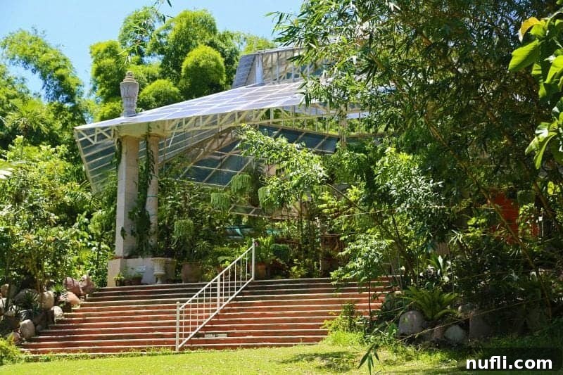 An inviting covered stage or pavilion area surrounded by vibrant tropical plants and trees