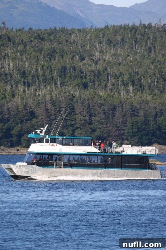 whale watching boat with mountains and trees behind it 