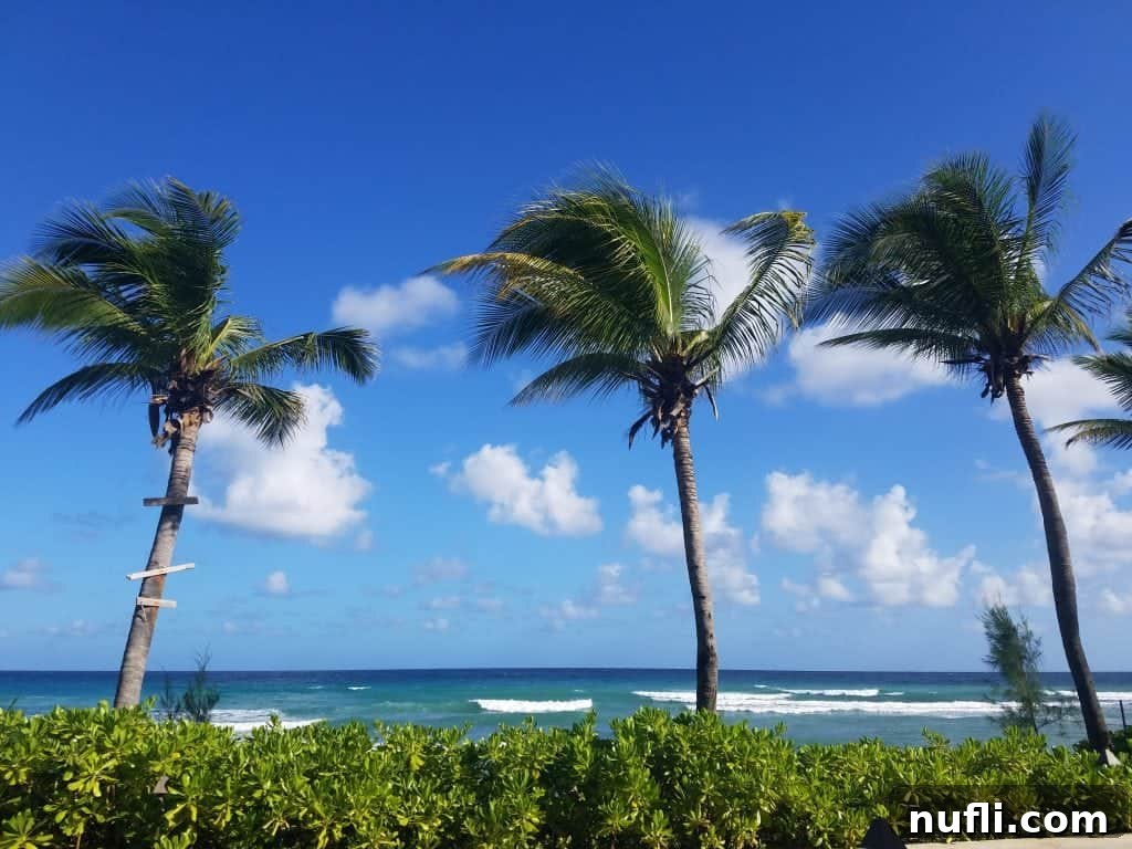Picturesque view of a serene Jamaican landscape with lush greenery and calm waters